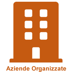 Aziende Organizzate